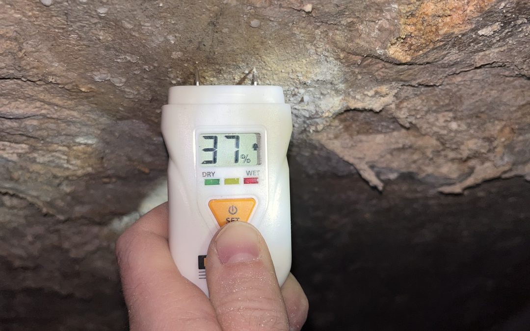 Diagnostic dans une cave existante