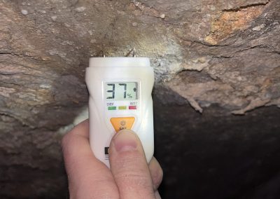 Diagnostic dans une cave existante